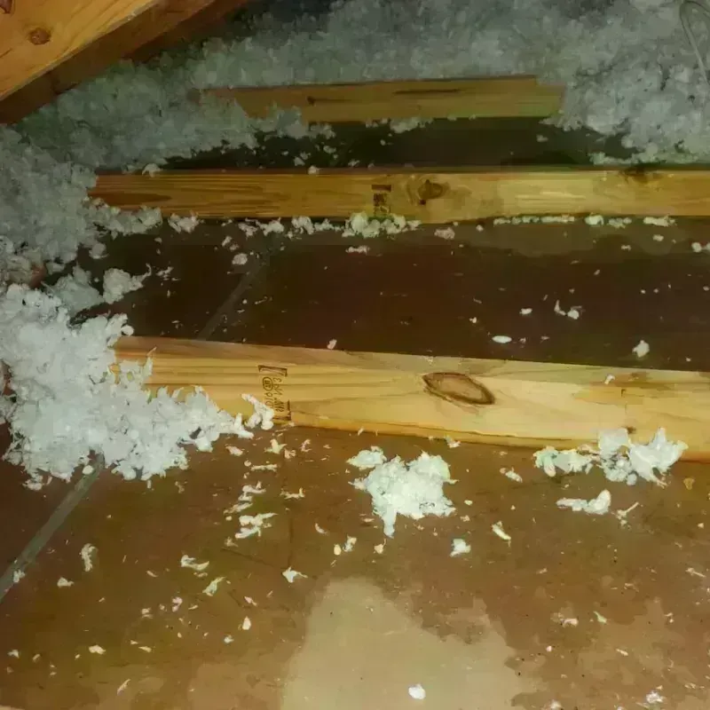 Attic Water Damage in Gulivoire Park, IN